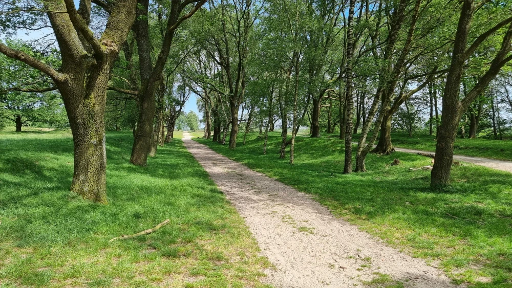 Natuur
